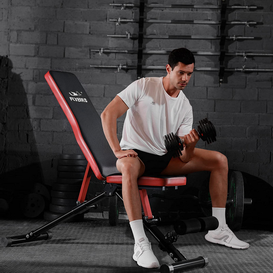 Flybird Weight Bench
