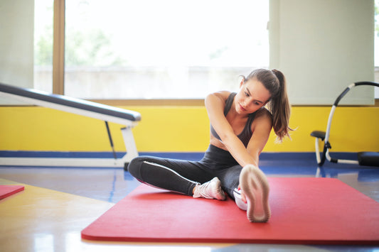 7 Day Home Workout Plan