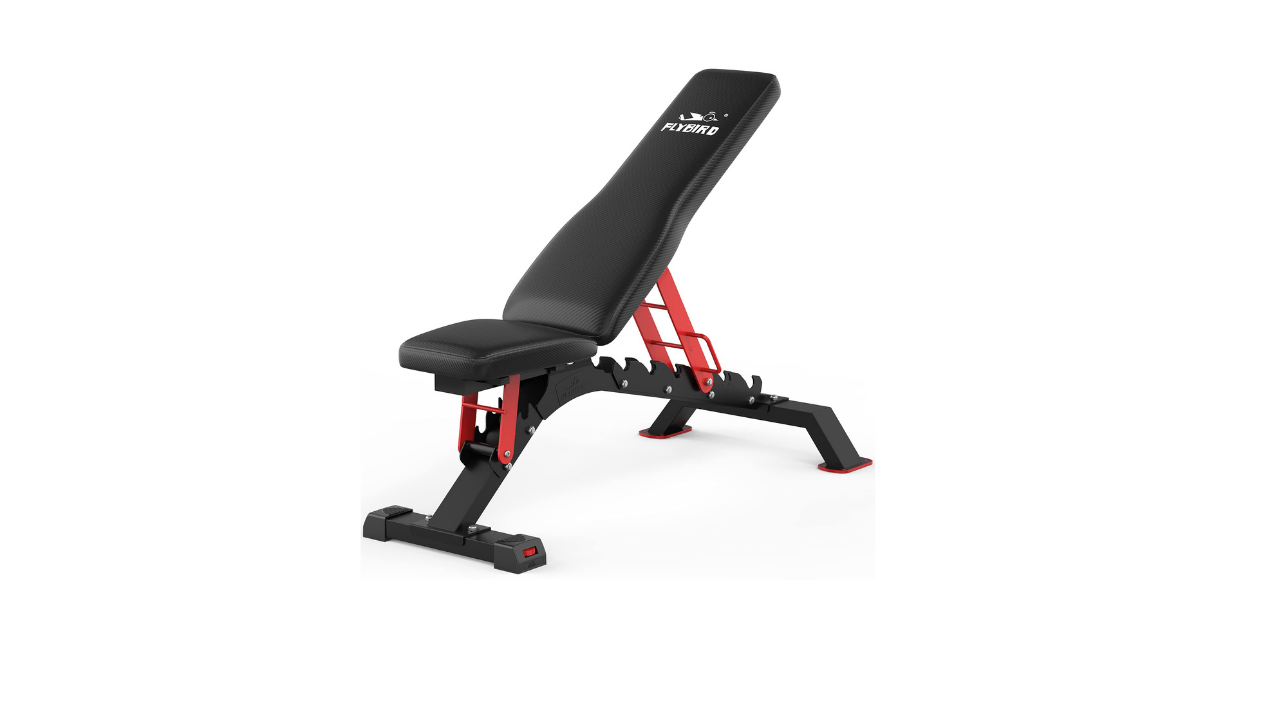 Flybird bench reviews hotsell