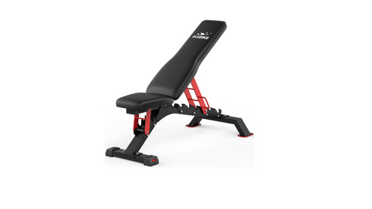 Flybird Pro Weight Bench