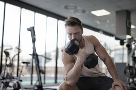 Workout Bench Training