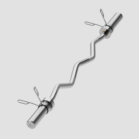 FLYBIRD Olympic EZ Curl Bar - 47"Curling Barbell for 2 Inch Plates,Silver