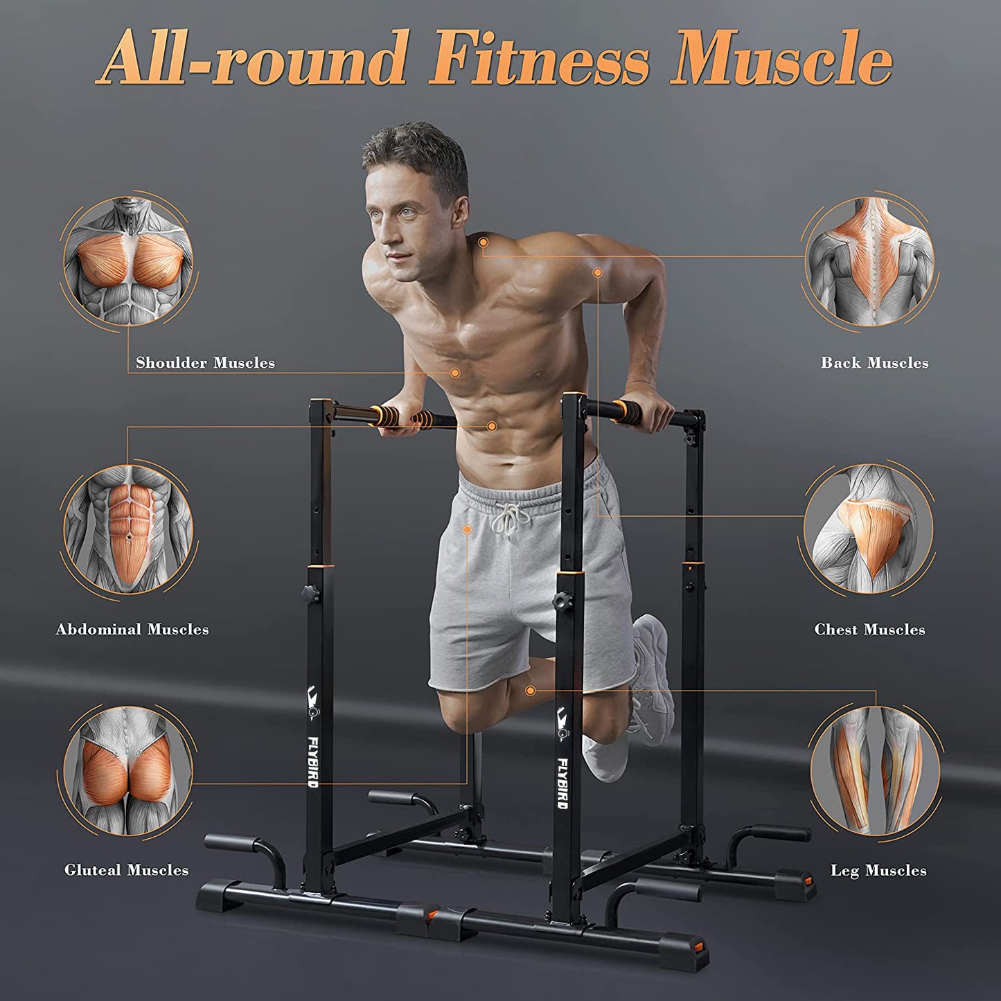 Flybird Adjustable Dip Bar