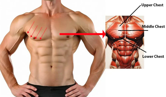 Chest structure