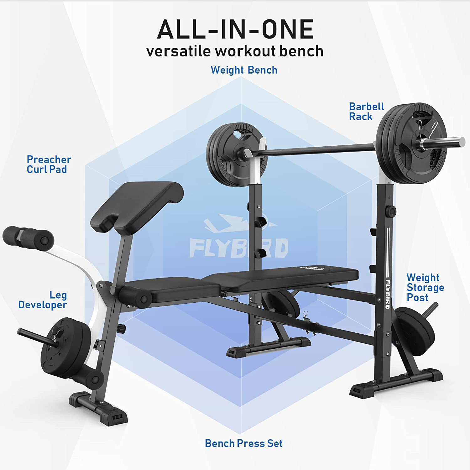 Olympic weight cheap bench and rack