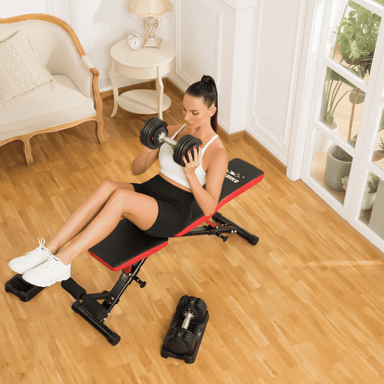 FLYBIRD Workout Bench, Multi-Functional Adjustable Weight Bench for Full  Body Workout, Roman Chair for Hyper Back Extension - AliExpress