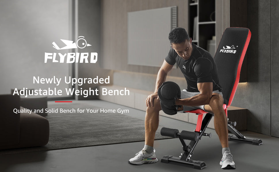 FLYBIRD Adjustable Weight Bench, Foldale Workout Bench Incline Bench for  Home Gym Strength Tr