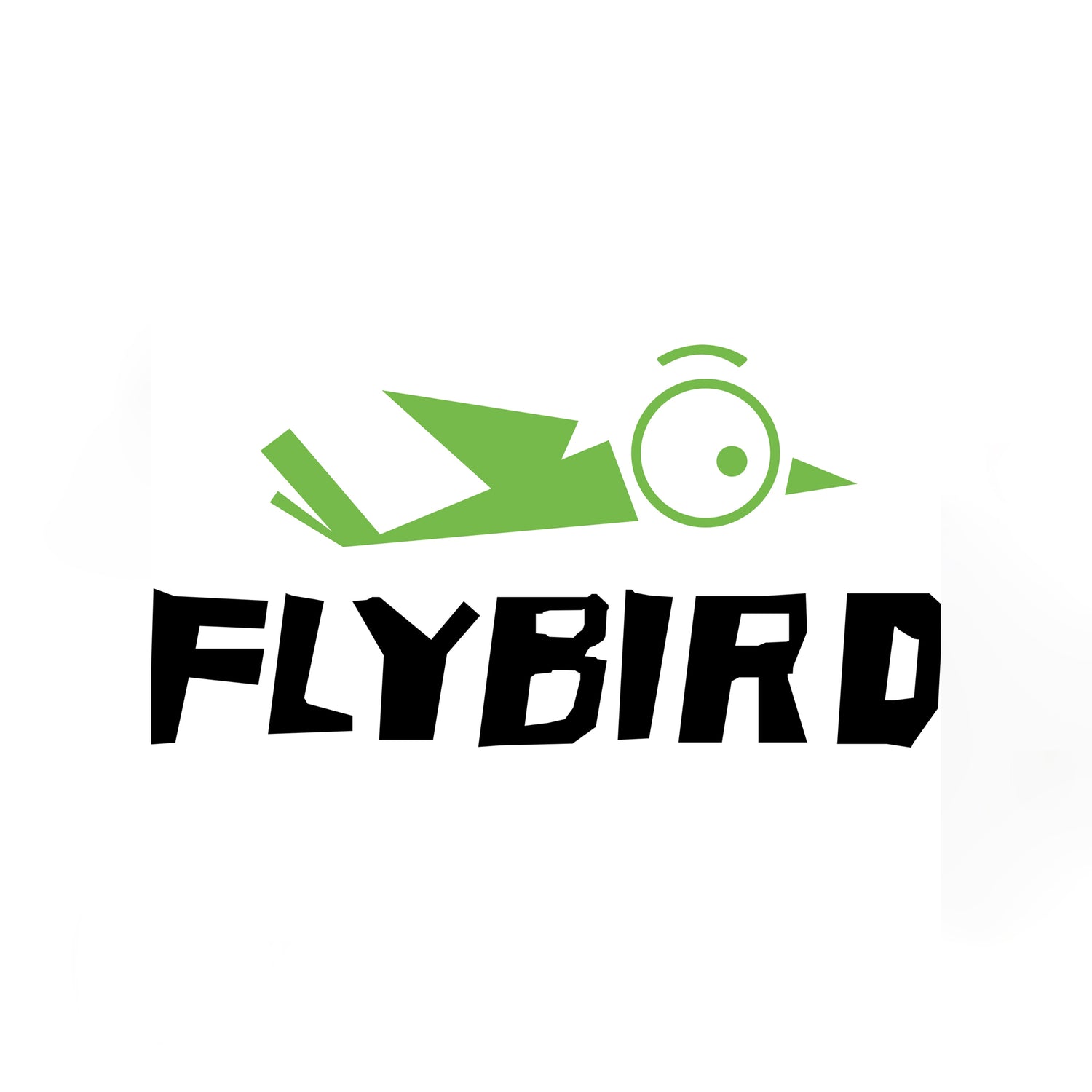 Flybird Fitness Company